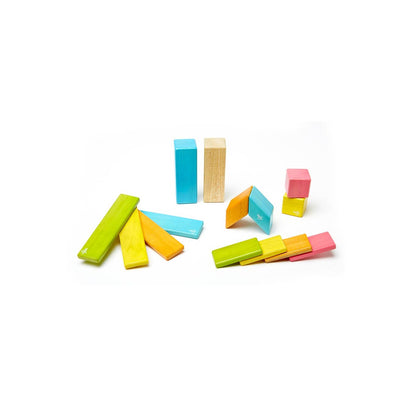 14 Piece Magnetic Wooden Block Set