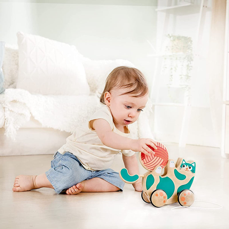 Hape Roll & Rattle Kitten