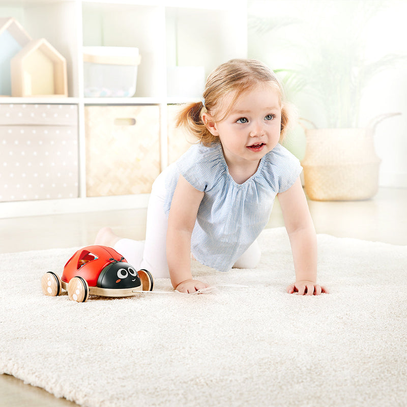 Hape Shape-Sorter Ladybug