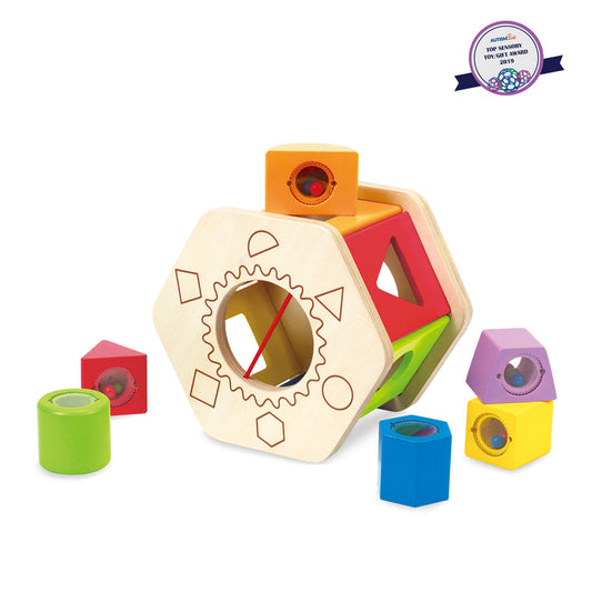 Shake and Match Shape Sorter