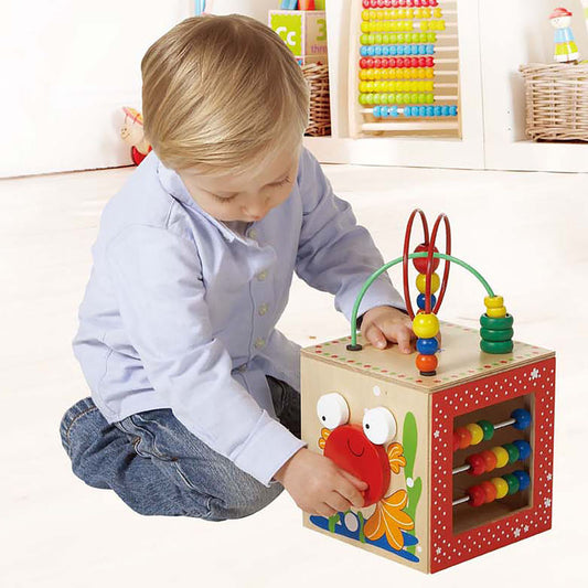 Hape Friendship Wooden Activity Center Play Cube