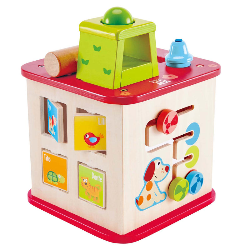 Hape Friendship Wooden Activity Center Play Cube